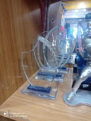 Glass Award 111