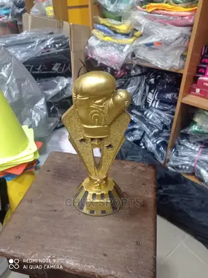 Boxing Award