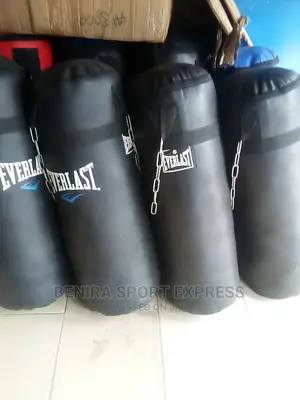 Everlast Punching Bag ( Boxing)
