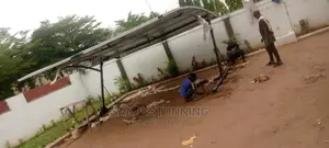 Luxury Imported Car Park