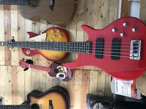 Professional 5 Strings Bass Guitar