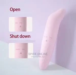 Dolphin Vibrator