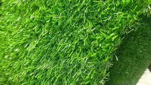 Floor Grass