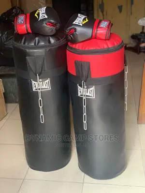 One Punching Bag With a Pair of Boxing Glove