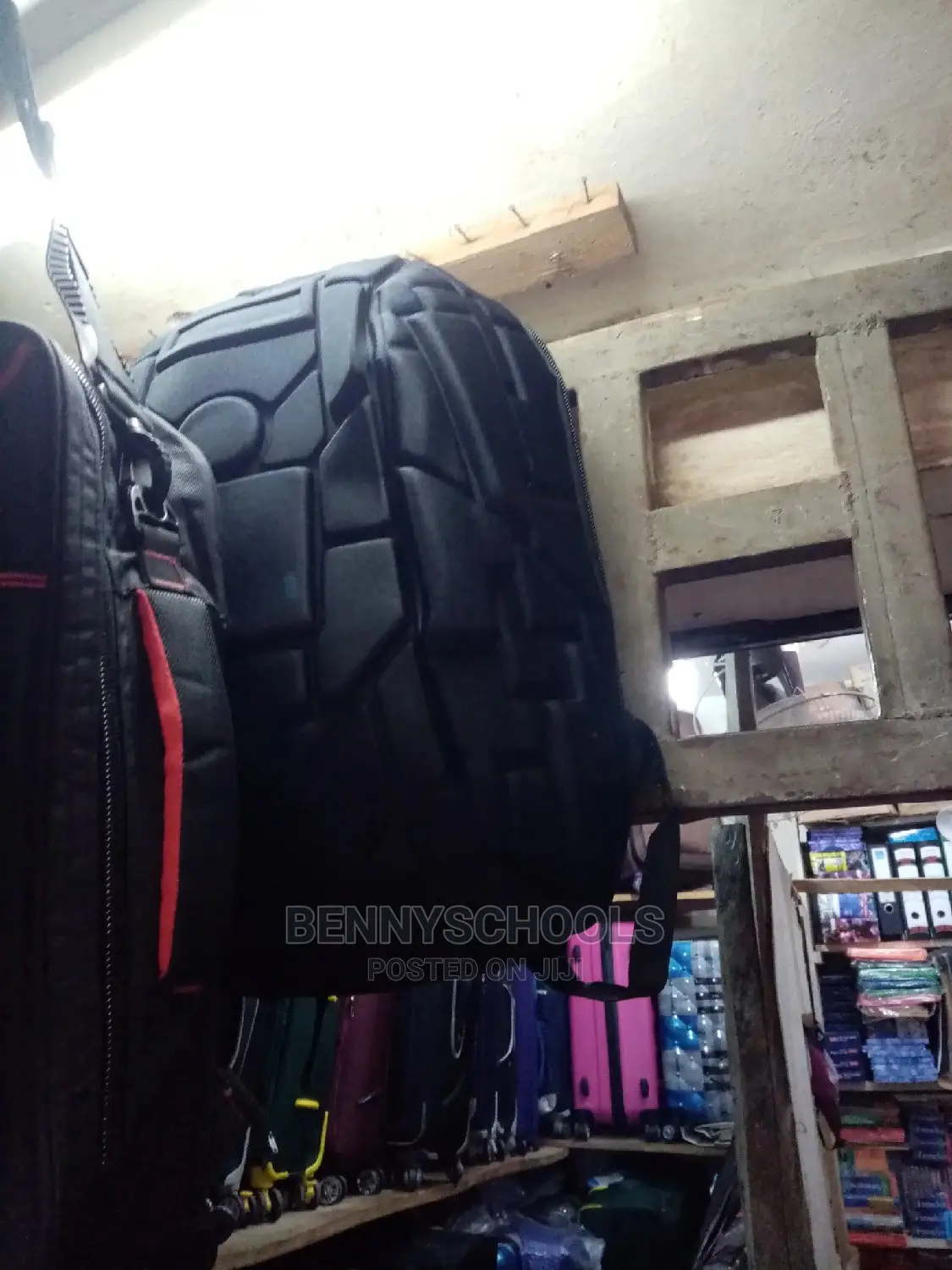 Tortoise Backpack/Napsack