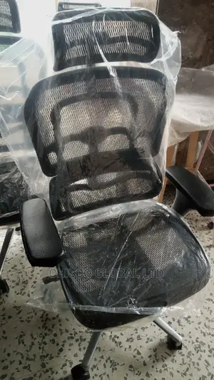 Office Chair (Orthopedic)