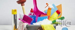Professional Home Cleaning Service