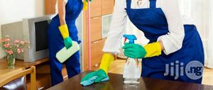 Professional Home Cleaning Service
