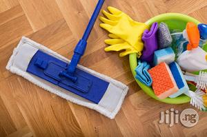 Professional Cleaners