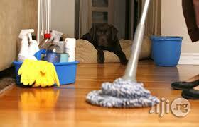 Glittering Cleaners