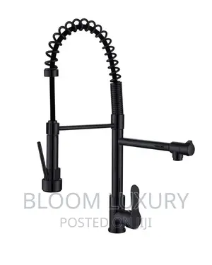 Black Double Lever Spring Faucet