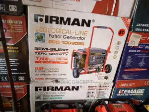 Firman Generator ECO10990ES
