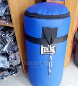 Puching Training Bag