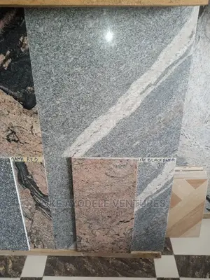 Dolarite Black and White Granite 60/60