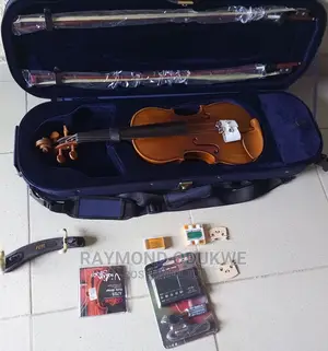 D-Lark Professional Concert 4/4 Violin