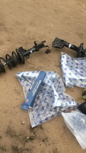 Front Shocks, Lower Arms, Linkages, Tie Rods Bushings Zdx