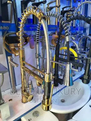 Gold Spray Kitchen Faucet