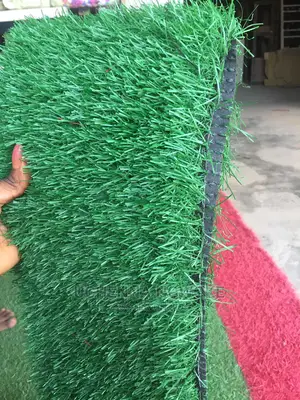 Turkey Quality Green Grass