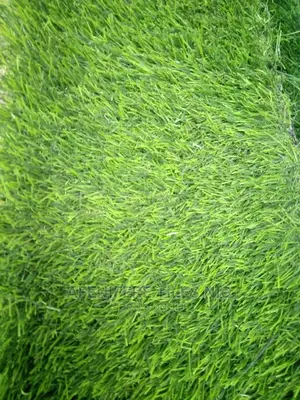 Grass Rugs