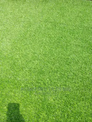 Grass Rugs