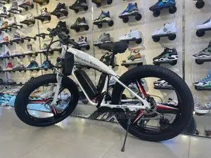 Heavy Duty Bicycle