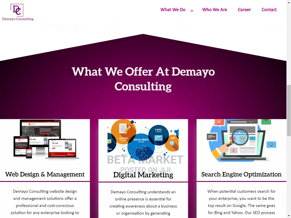Website Design and Development