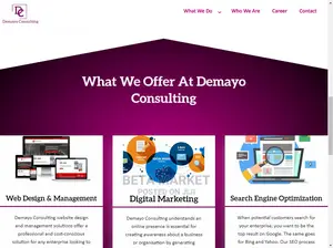 Website Design and Development
