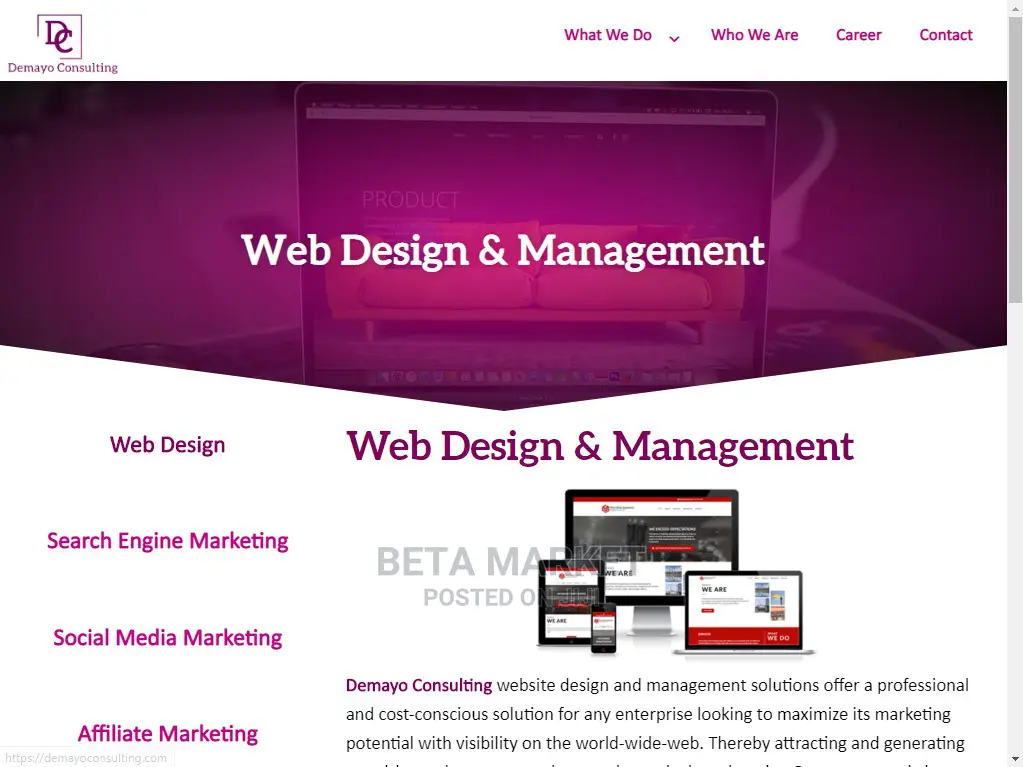 Website Design and Development