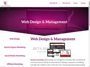 Website Design and Development
