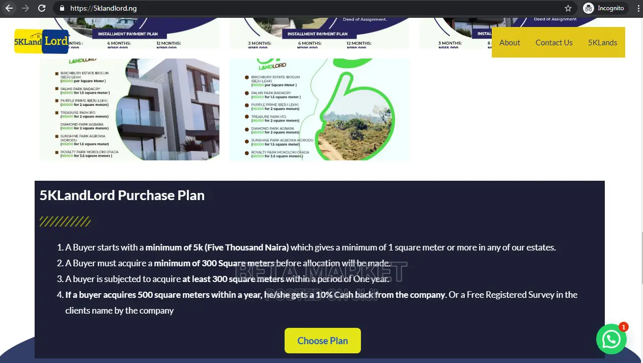 Website Design and Development