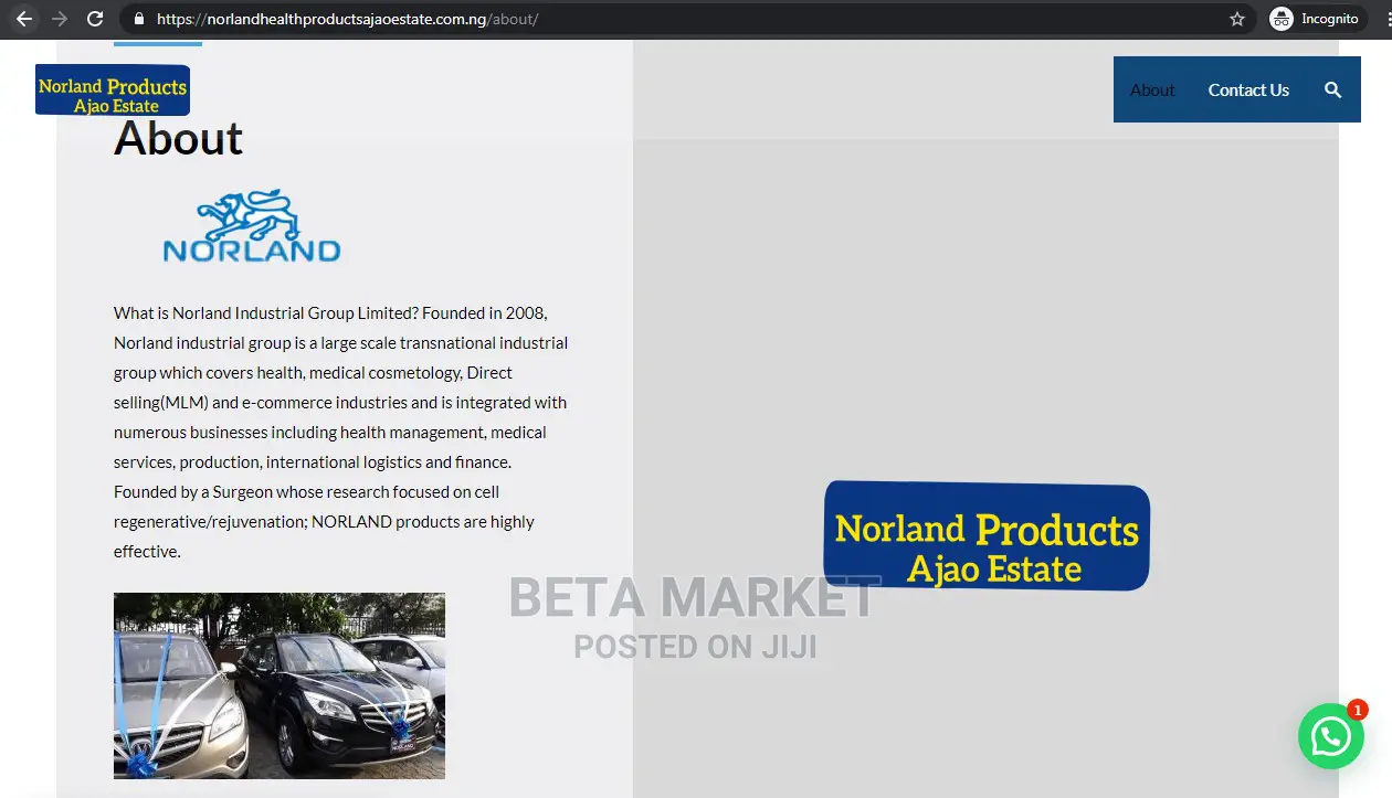 Website Design and Development