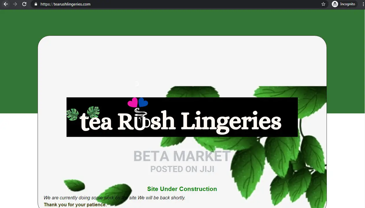 Website Design and Development