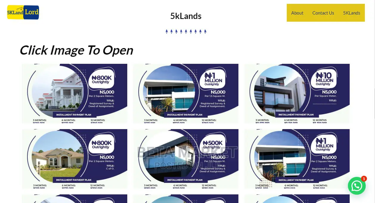 Website Design and Development
