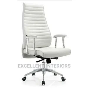 Ergonomic Long Back Office Chair.