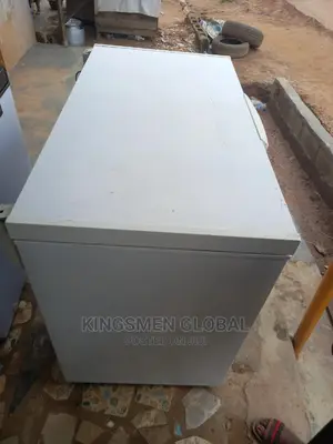 Whirlpool Chest Freezer for Frozen Food Business 300litre