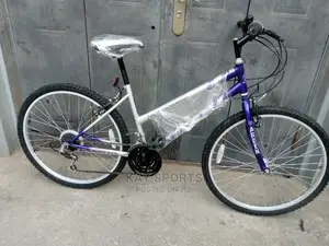 Arden Ladies Sport Bicycle