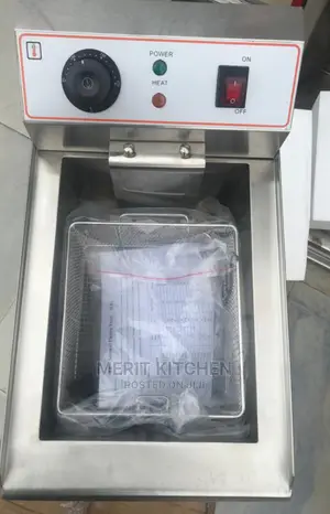 Single Electric Fryer With Tap