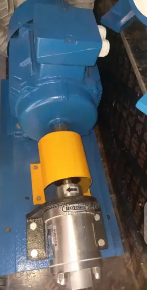 Stainless Steel Gear Pump 2"Inches Inlet 2"Inches Outlet