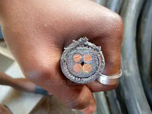10mm 4core Original Nigerchin Armored Cable