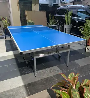 Prolife Standard Aluminum Outdoor Table Tennis Waterproof