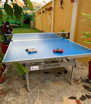 Prolife Aluminum Standard Outdoor Table Tennis Waterproof