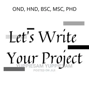 Let's Write Your Project Writeup Dissertations and Thesis