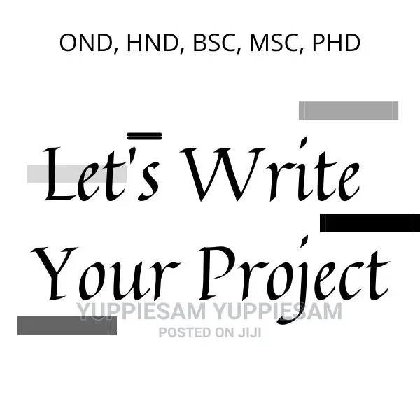 Let's Write Your Project Writeup Dissertations and Thesis