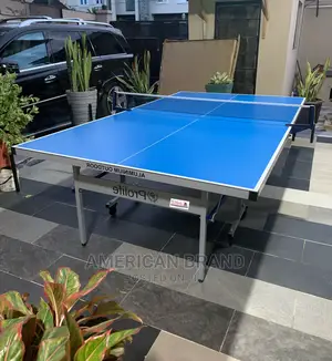 Lprolife Standard Outdoor Table Tennis Board Waterproof