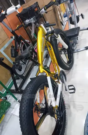 BMW Big Tire Bicycle Brand New