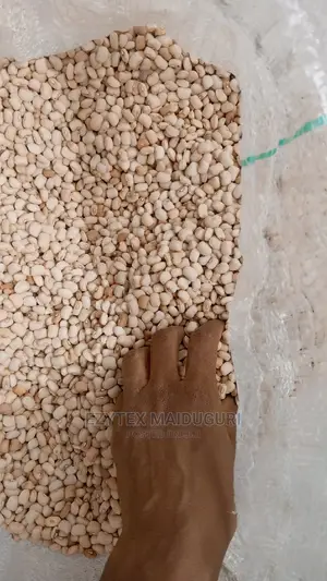 Sweet Butter Beans Picked