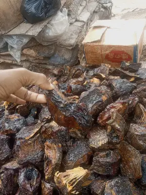 Maiduguri Dry Mangala Fish