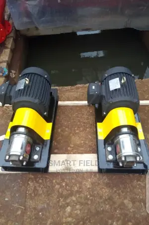 Stainless Steel Gear Transfer Pump Coupled