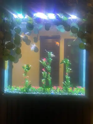 Aquarium Wall