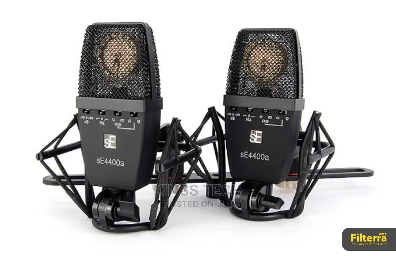 Se Electronic Se4400a Studio Microphone